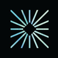 Salience Labs Limited Logo